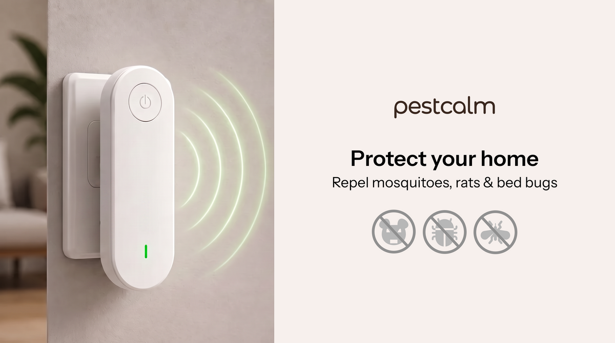 PestCalm: protect your home